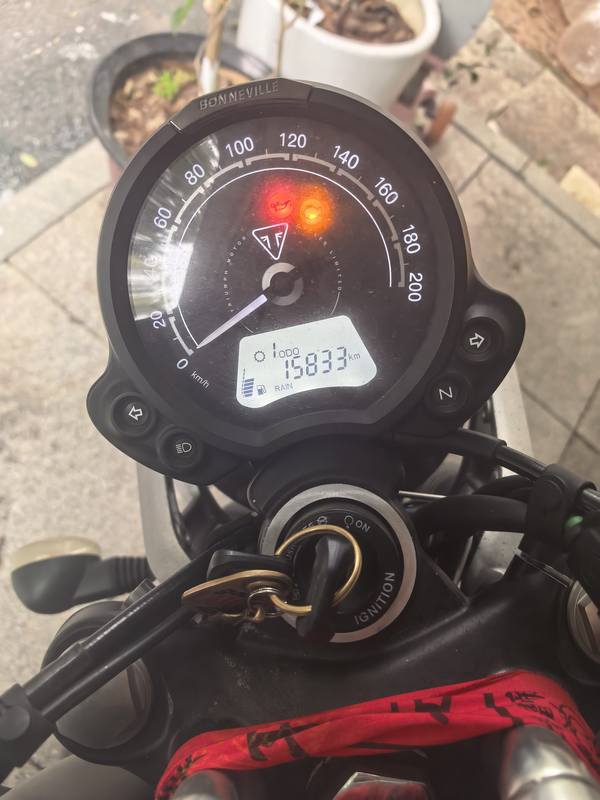 二手凯旋Speed Twin 900