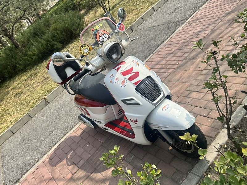 二手南方梦拉丽莎 飞戈