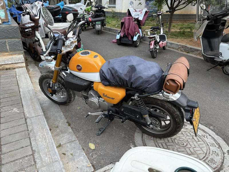 二手斯托纳猿猴