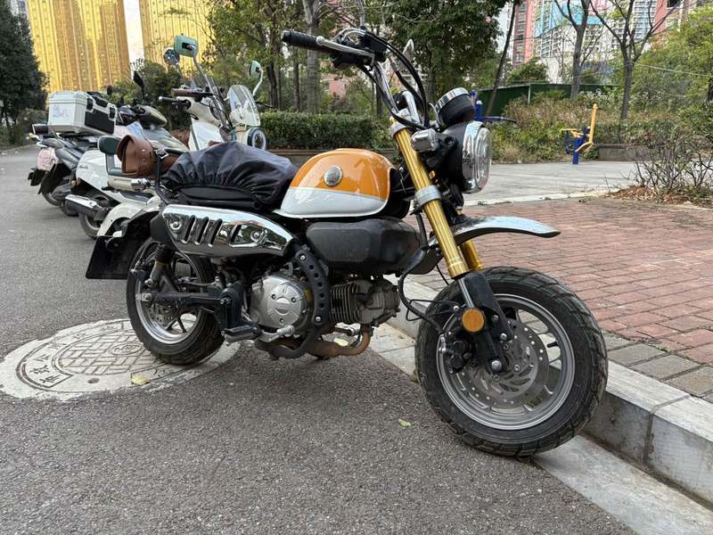 二手斯托纳猿猴