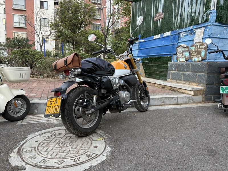 二手斯托纳猿猴