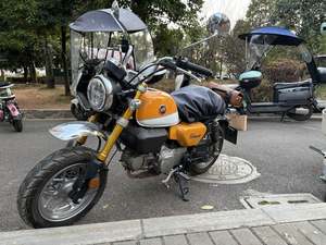 二手斯托纳猿猴