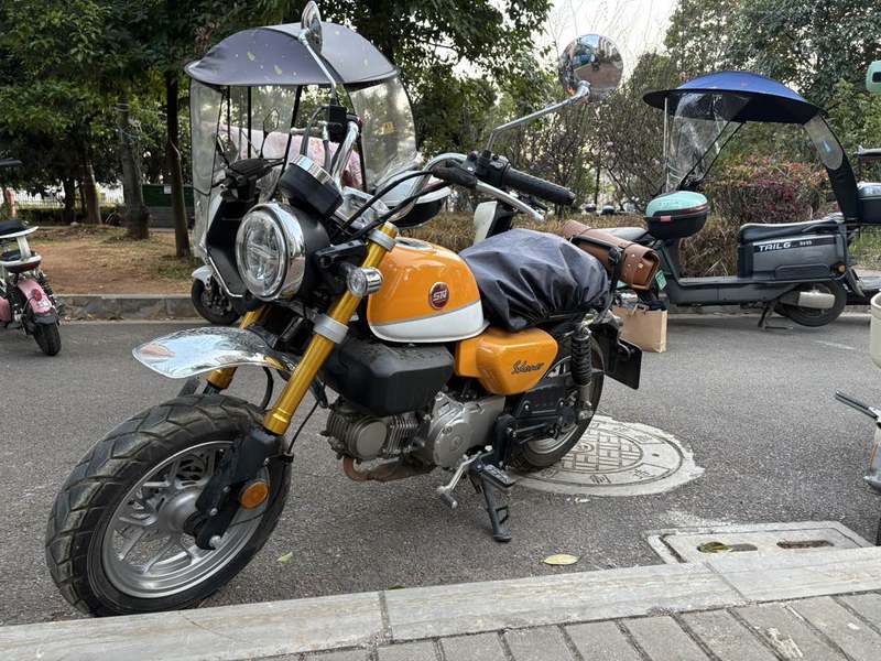 二手斯托纳猿猴