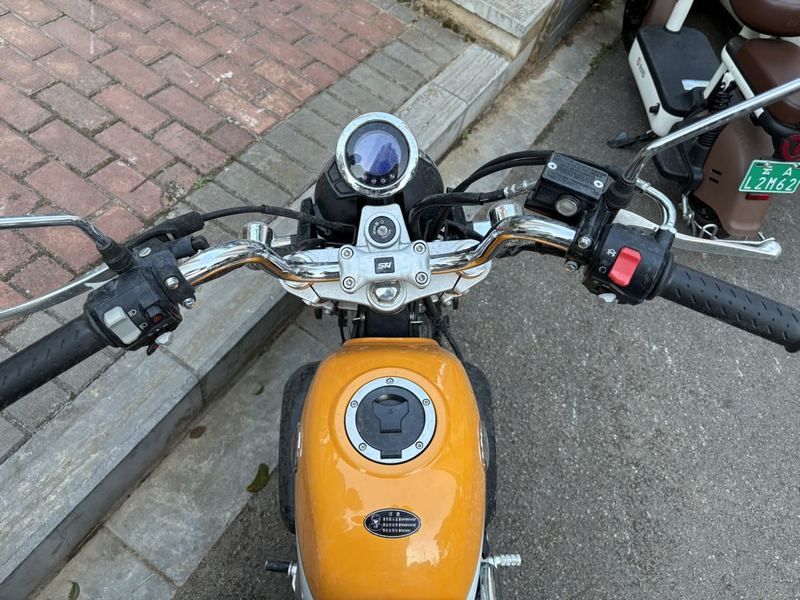 二手斯托纳猿猴