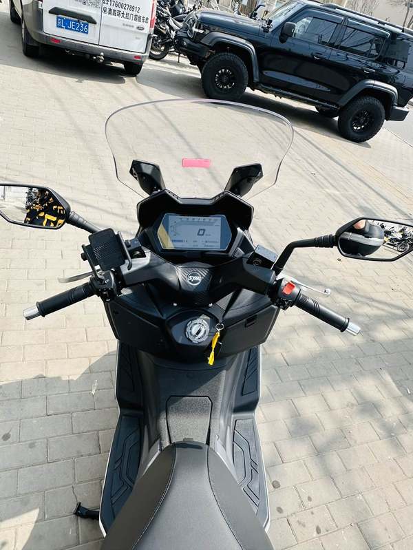 二手三阳Joymax Z 300