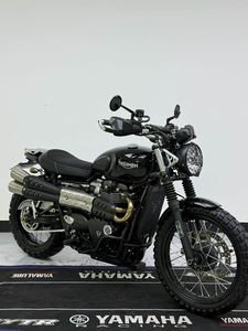 二手凯旋Scrambler 900