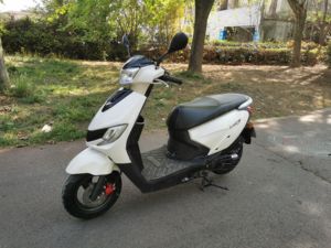 二手济南铃木Let's小海豚