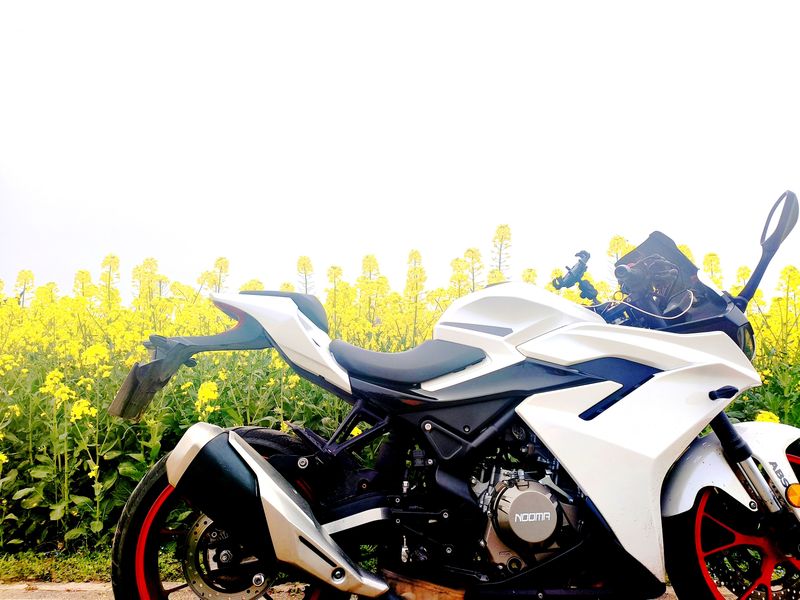 二手诺马极影325S