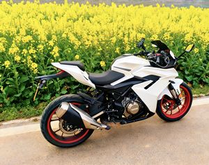 二手诺马极影325S