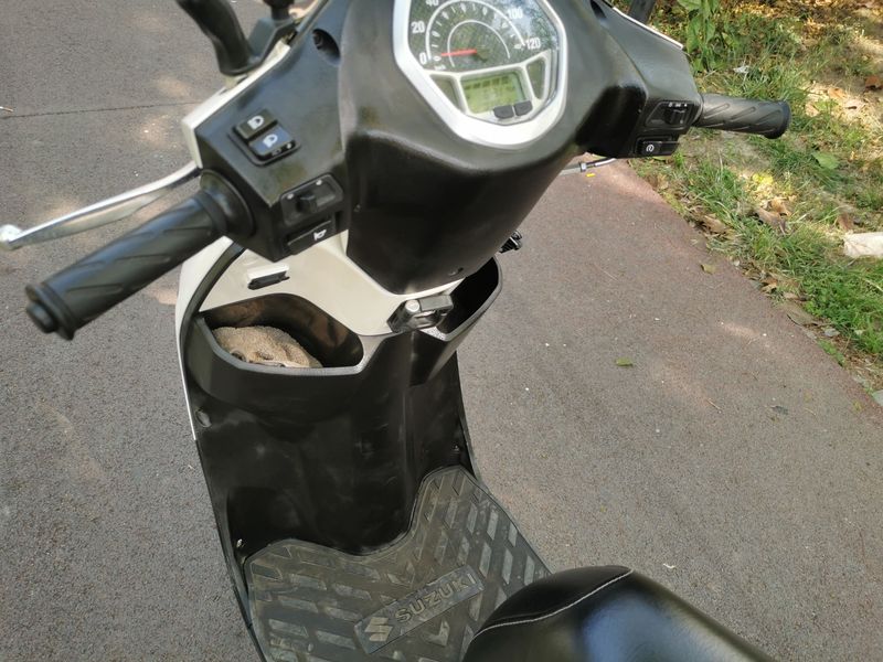 二手济南铃木Let's小海豚