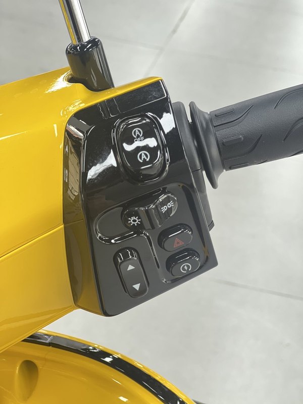 二手新大洲本田NS150LA