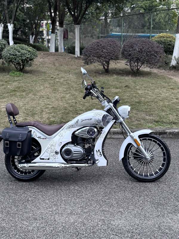 二手宗申优米Yomi