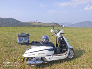 二手南方梦拉丽莎 飞戈