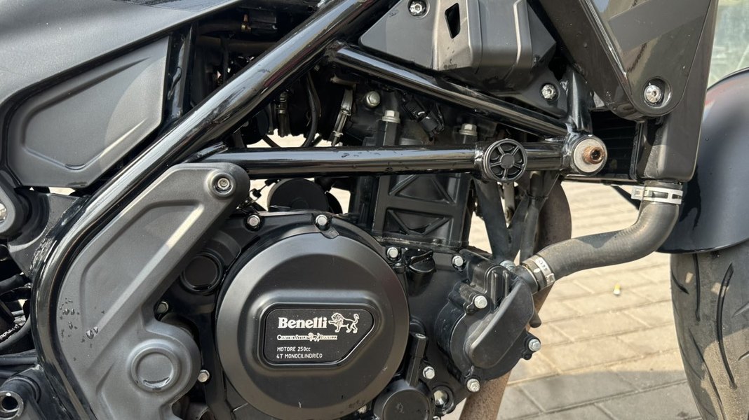 二手贝纳利幼狮 Leoncino 250