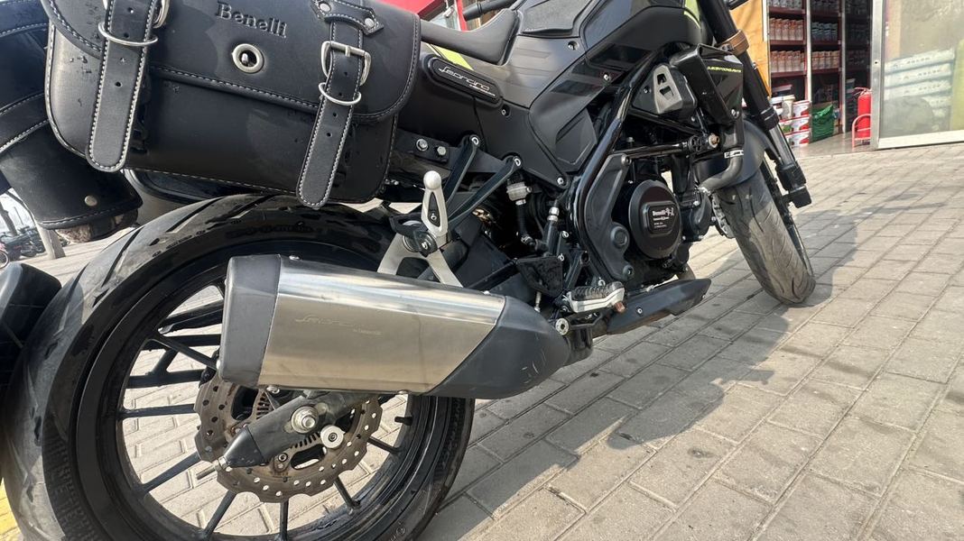 二手贝纳利幼狮 Leoncino 250