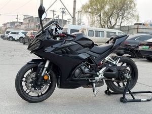 二手赛科龙RC401