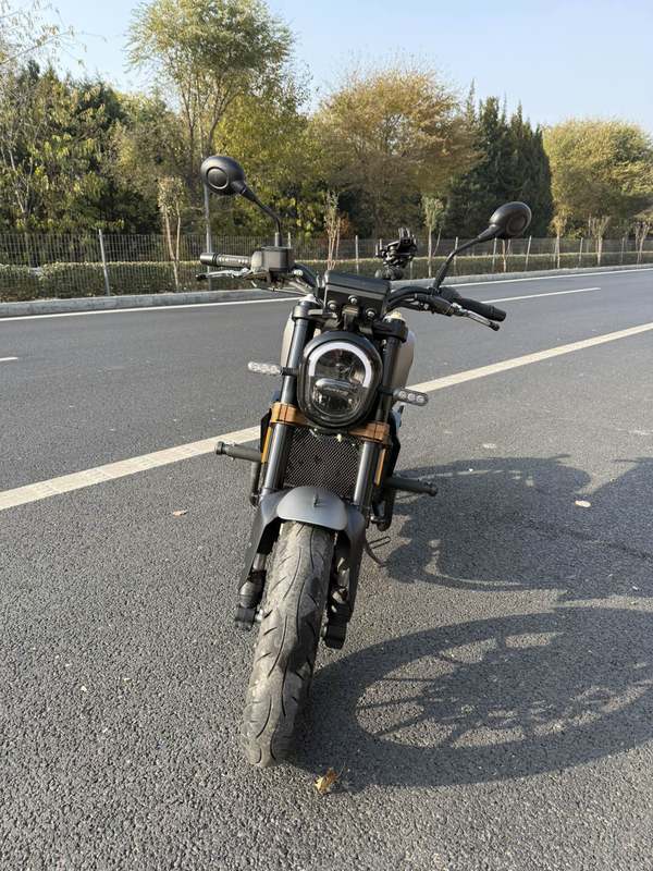 二手贝纳利幼狮 Leoncino 250