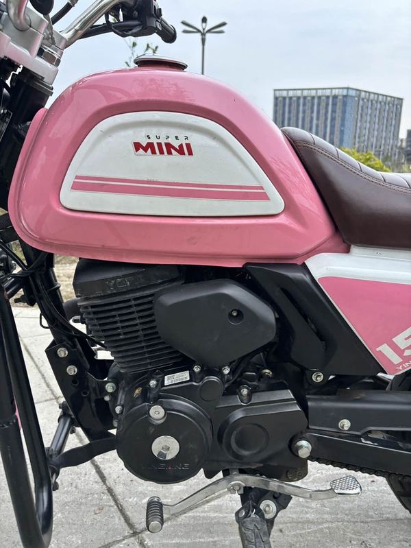 二手银钢Super Mini 150