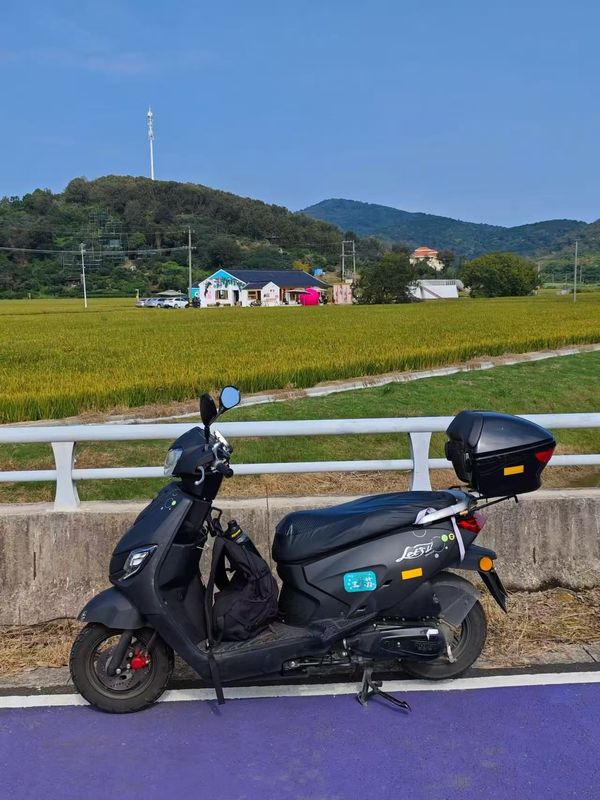 二手济南铃木Let's小海豚