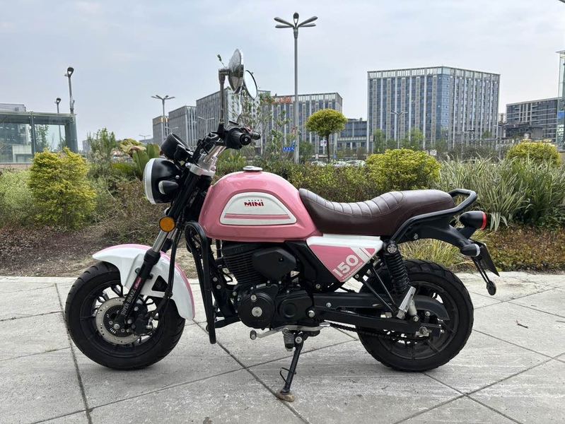 二手银钢Super Mini 150
