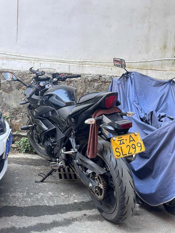 二手豪爵铃木GSX250R