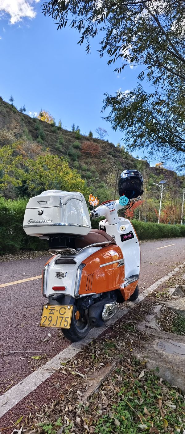 二手维多利亚Sixties 150i