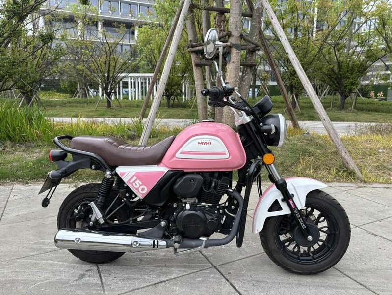 二手银钢Super Mini 150