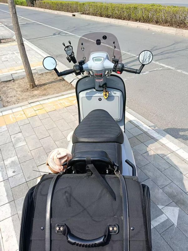 二手ROYAL ALLOYGP200S