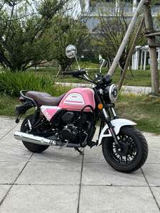 二手银钢Super Mini 150