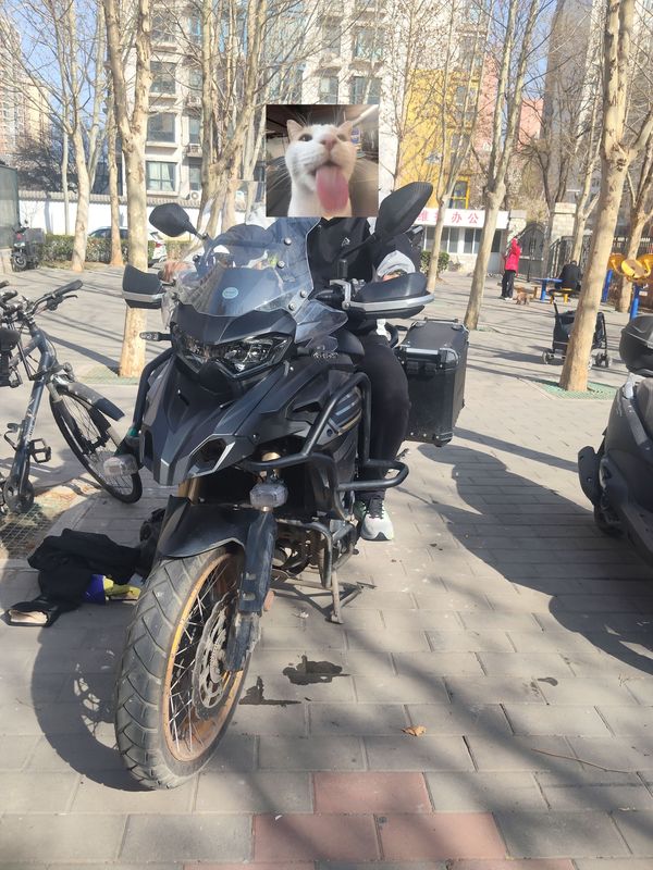 二手贝纳利TRK552