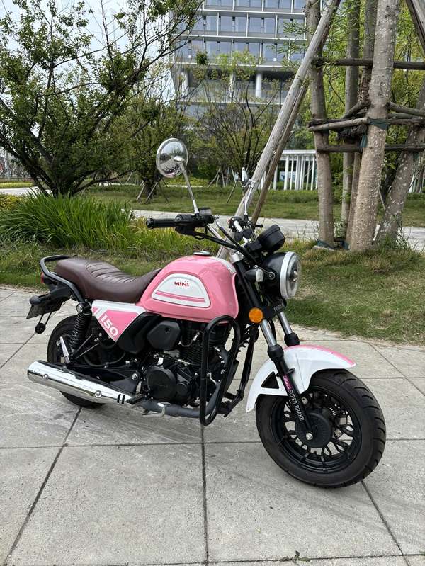 二手银钢Super Mini 150