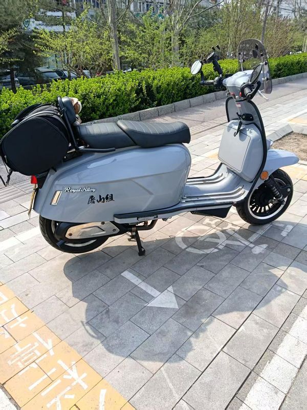 二手ROYAL ALLOYGP200S