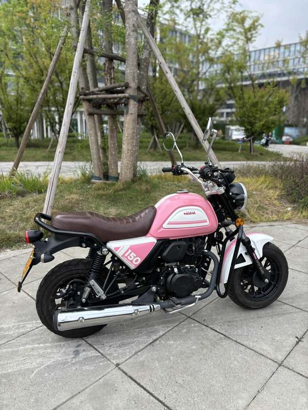 二手银钢Super Mini 150