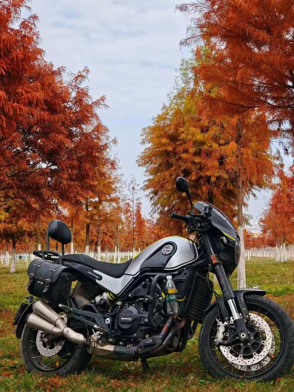 二手贝纳利幼狮 Leoncino 500