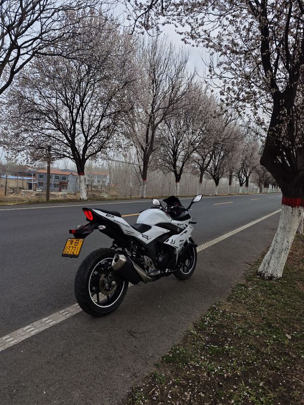 二手豪爵铃木GSX250R