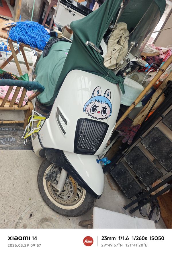 二手南方梦拉丽莎 飞戈