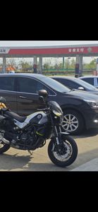 二手贝纳利幼狮 Leoncino 500