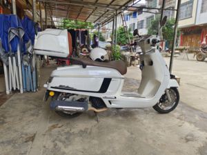 二手南方梦拉丽莎 Melalisa150