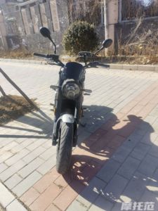 二手贝纳利幼狮 Leoncino 500