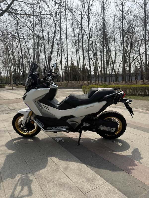 二手三阳剑齿虎 ADXTG