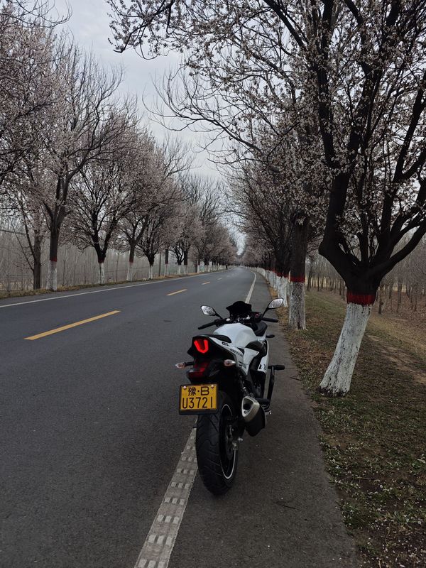 二手豪爵铃木GSX250R