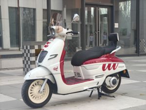 二手南方梦拉丽莎 飞戈