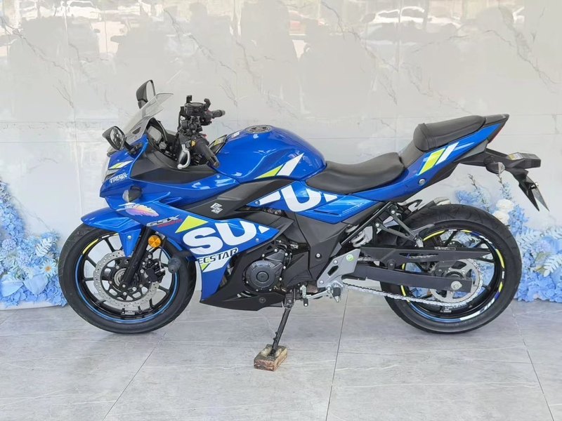 二手豪爵铃木GSX250R