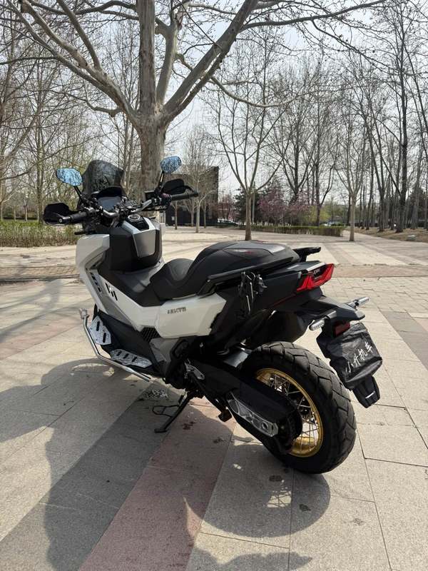 二手三阳剑齿虎 ADXTG