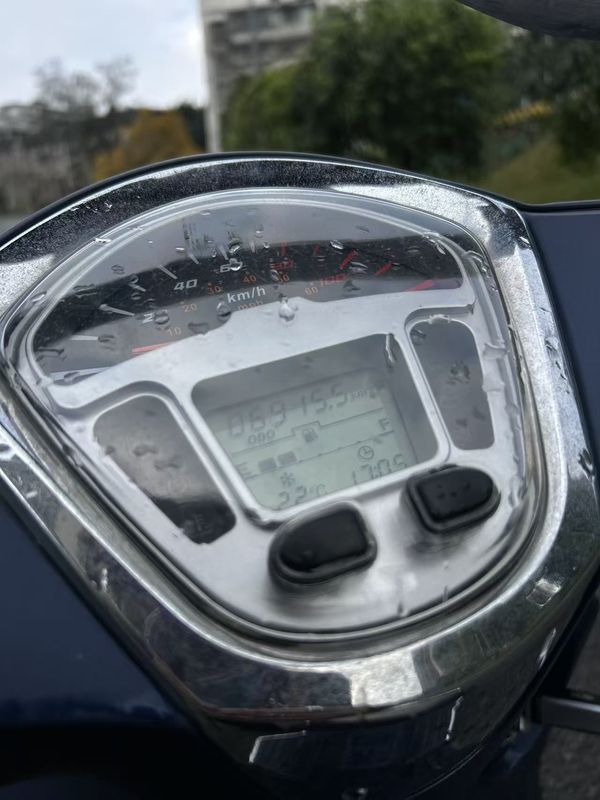 二手标本维诺拉150