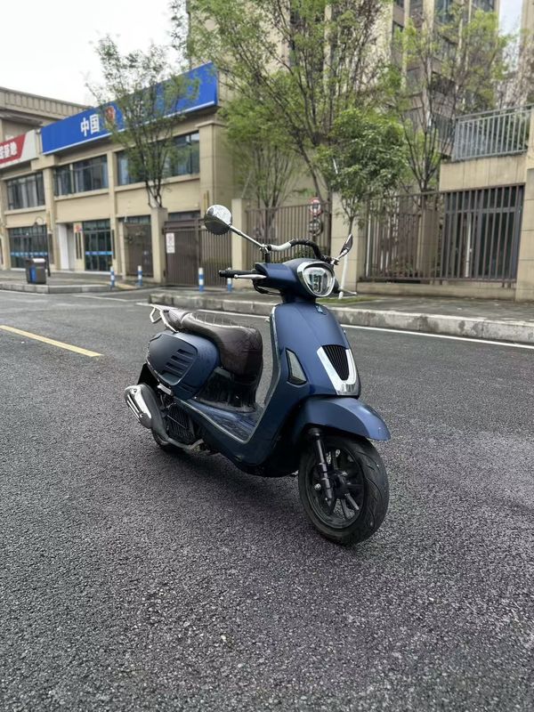 二手标本维诺拉150