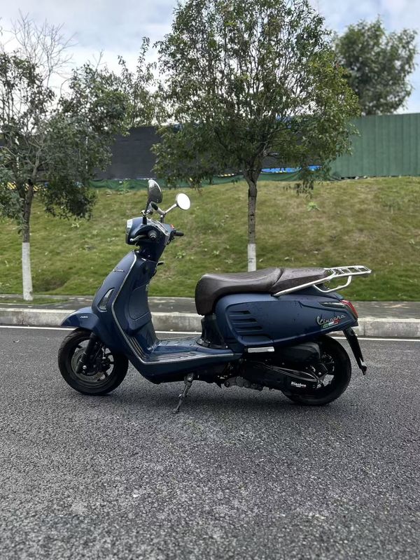 二手标本维诺拉150