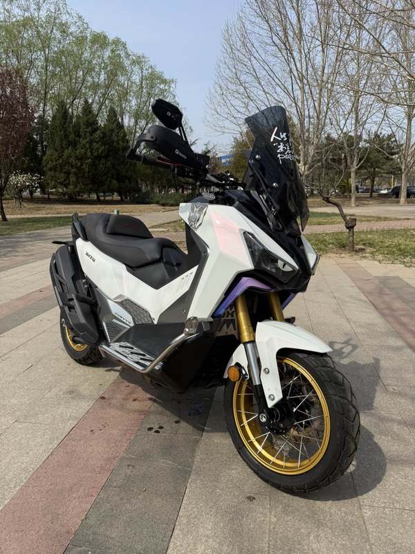 二手三阳剑齿虎 ADXTG