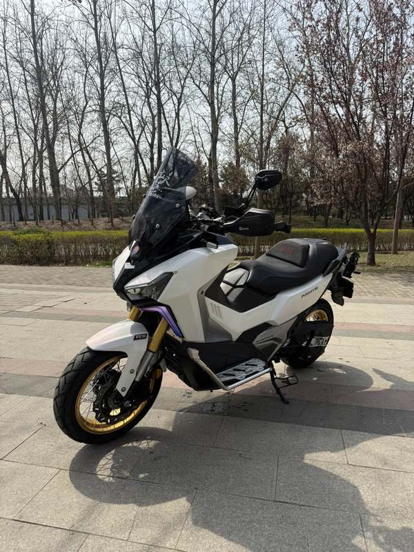 二手三阳剑齿虎 ADXTG