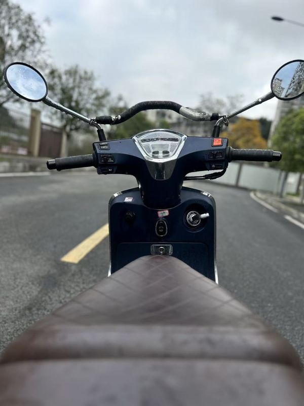 二手标本维诺拉150